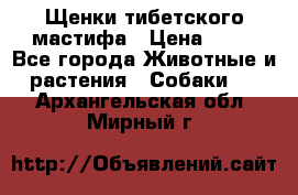 Щенки тибетского мастифа › Цена ­ 80 - Все города Животные и растения » Собаки   . Архангельская обл.,Мирный г.